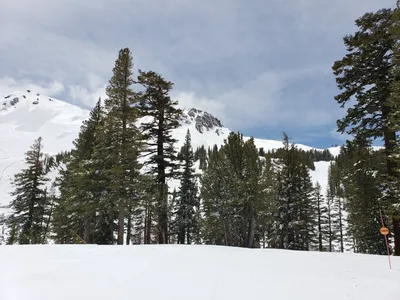 20190517_121344 (Large).jpg